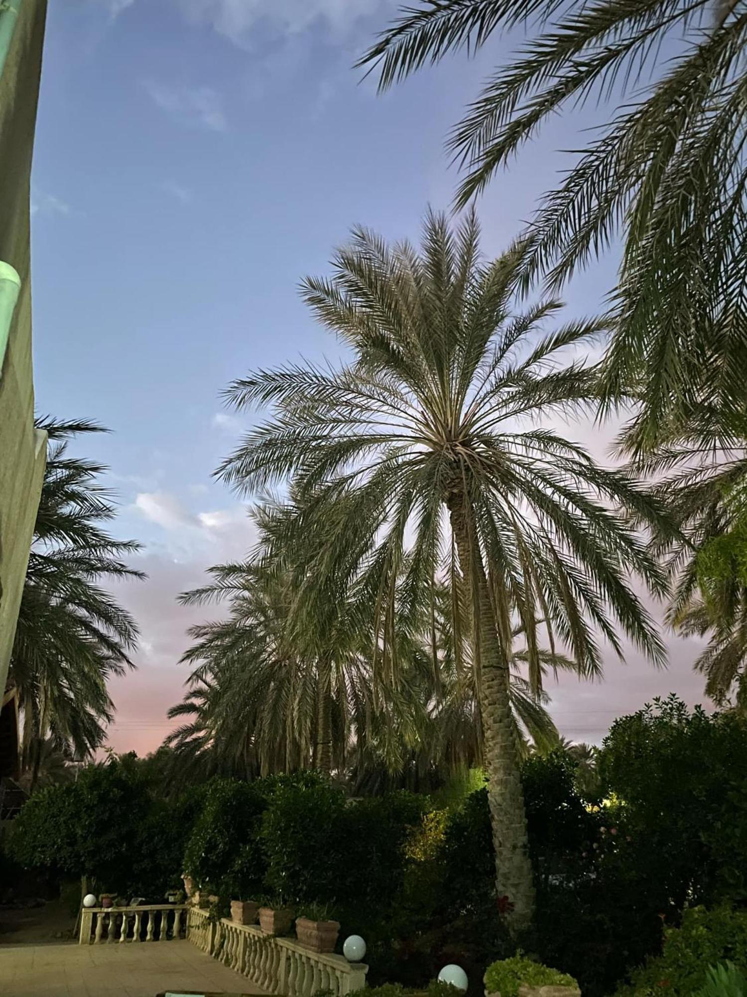 Dar Barka Hotel Kebili Buitenkant foto