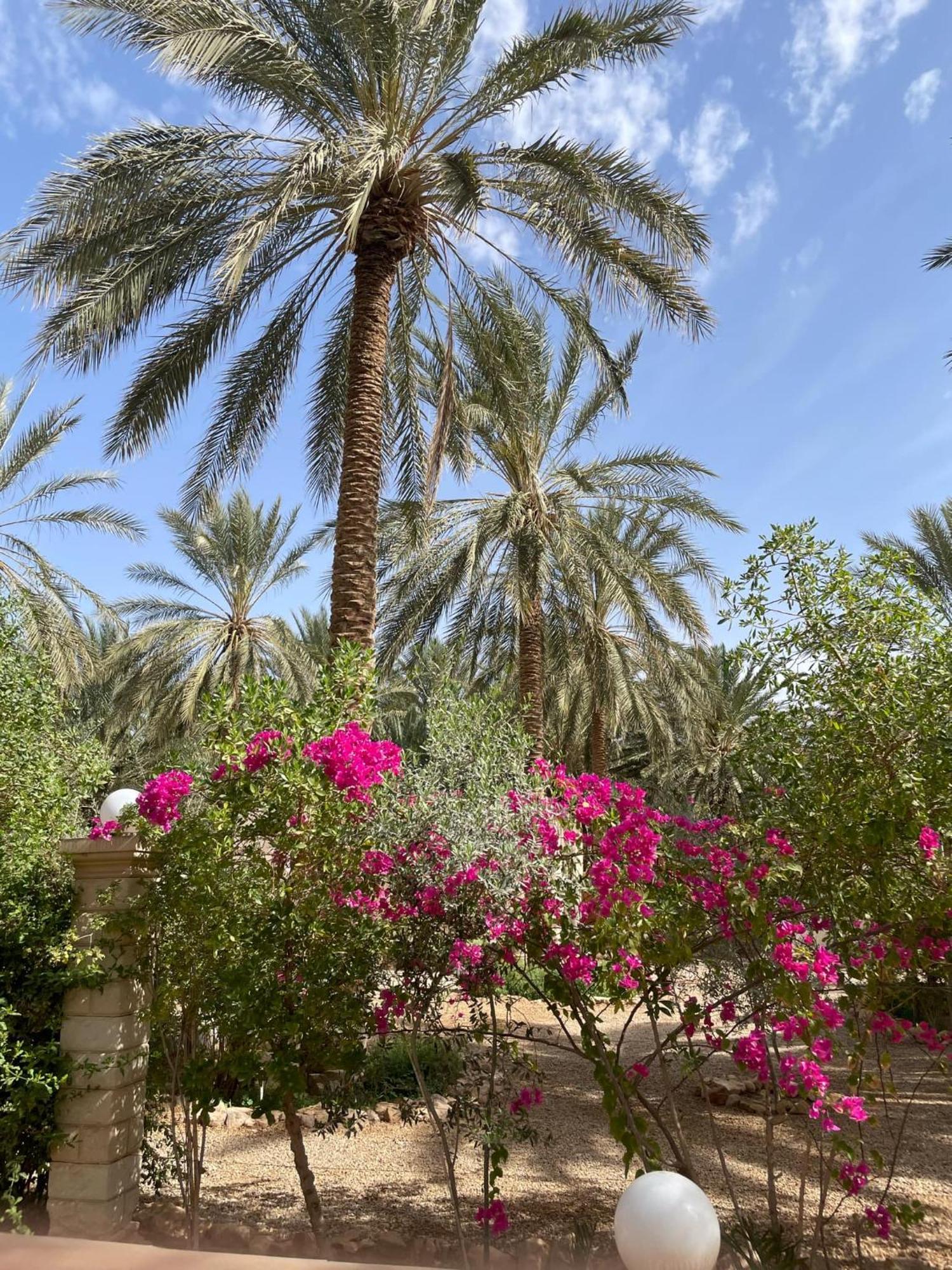 Dar Barka Hotel Kebili Buitenkant foto