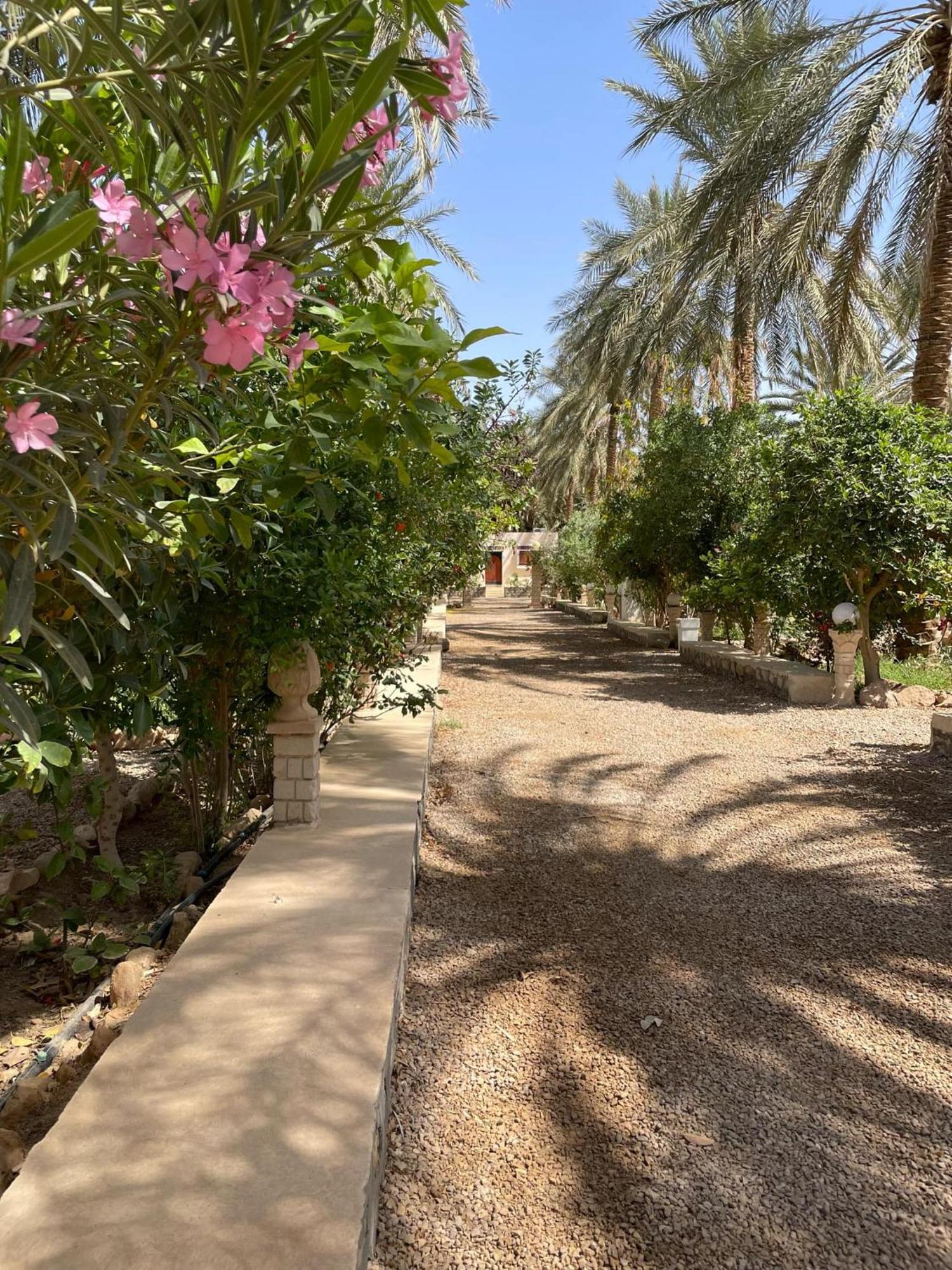 Dar Barka Hotel Kebili Buitenkant foto