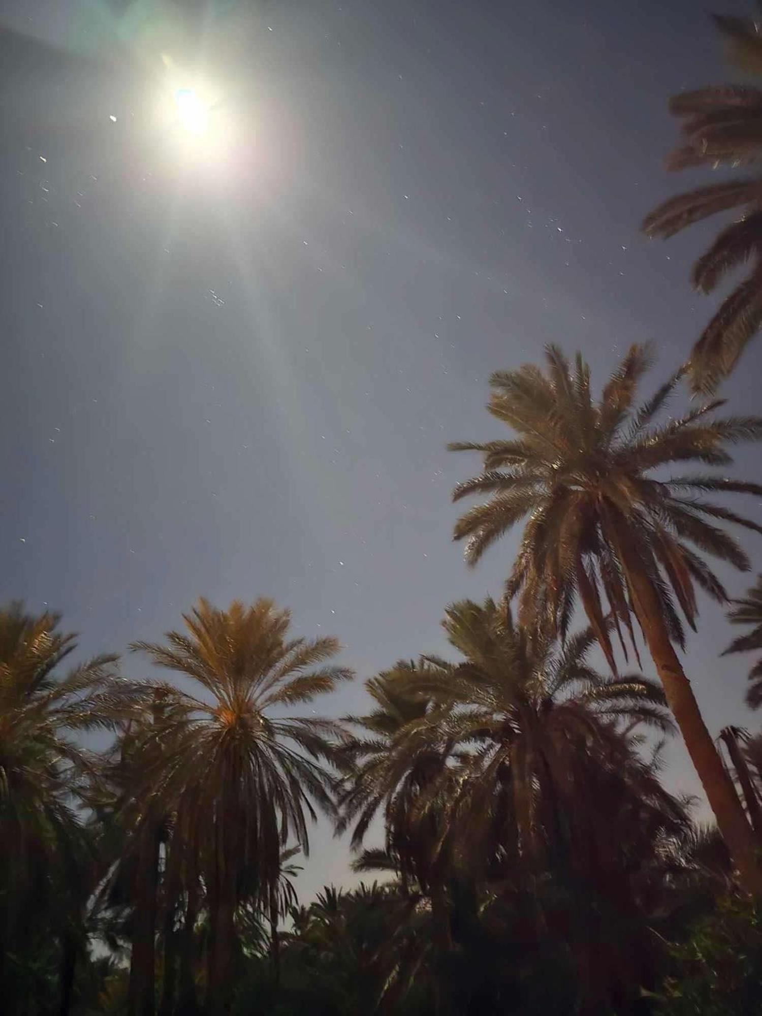 Dar Barka Hotel Kebili Buitenkant foto